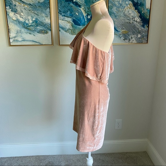 SugarLips pink velvet one shoulder ruffle dress large - Picture 3 of 8